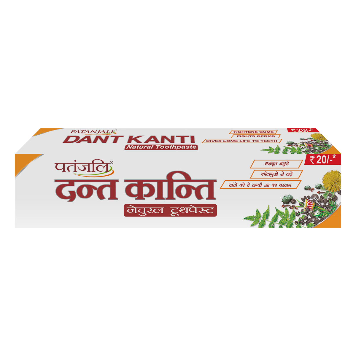 DANT KANTI PASTE 40G