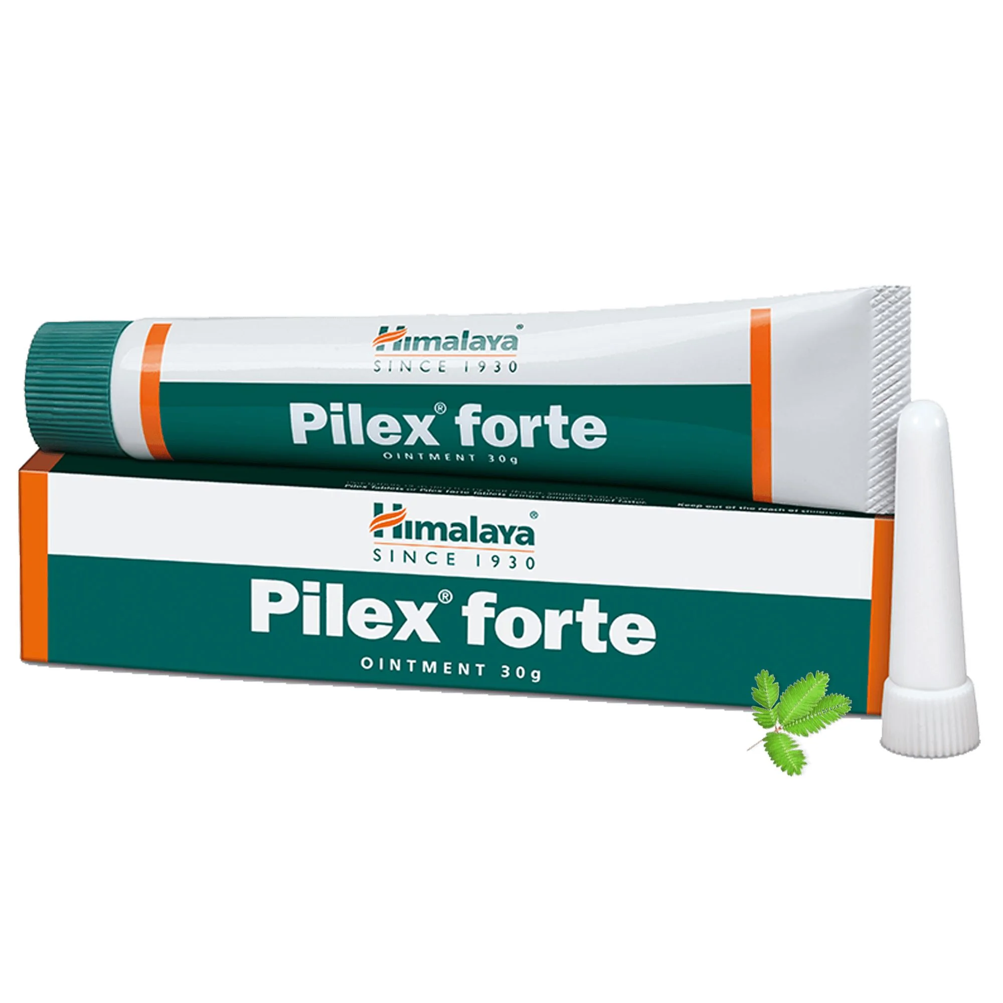 PILEX FORT OINTMENT 30GM