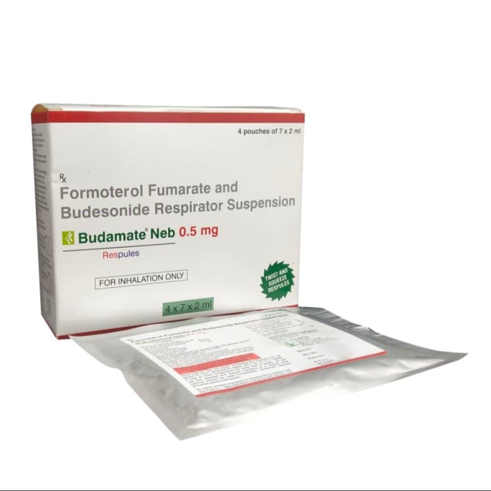 BUDAMATE NEB 0.5MG RESPULES 2ML
